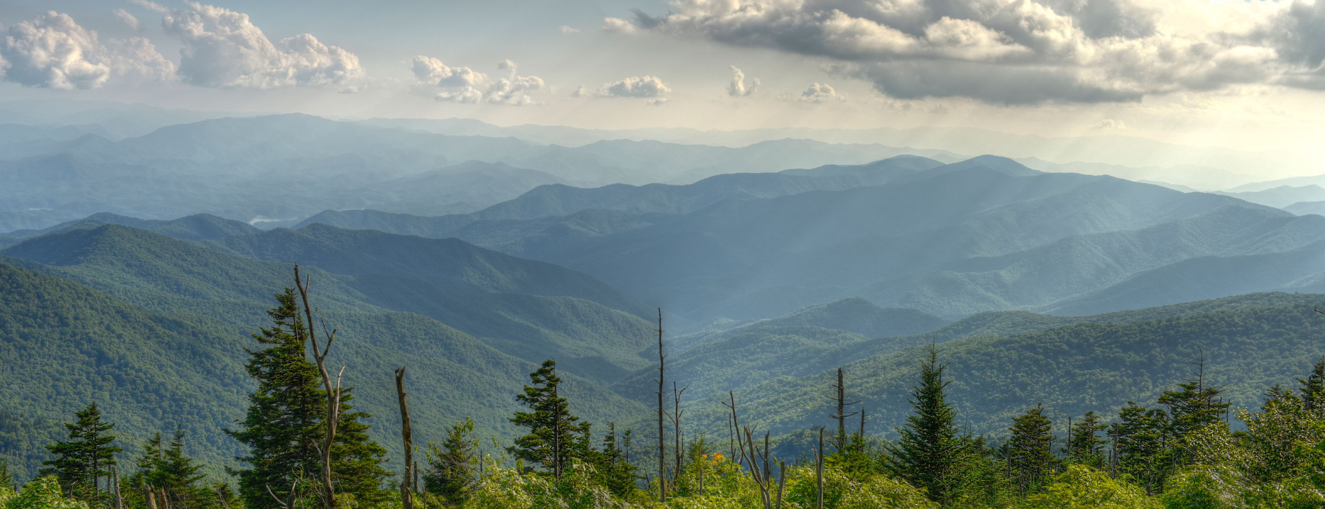 Asafoods Ghana Limited