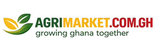 Online Marketing Services