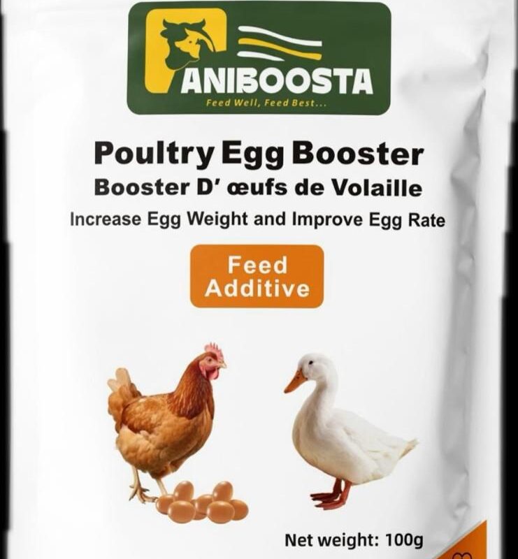 Poultry Egg Booster 100g