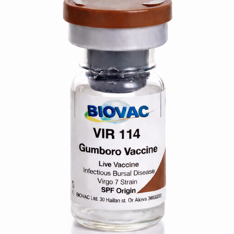 VIR 114 (Infectious Bursal Disease-Gumboro)